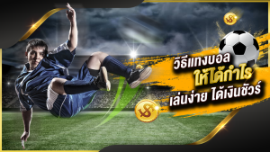 เว็บแทงบอลคุณภาพ